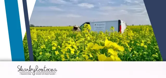 Banner crosssell SKARBY ROZTOCZA