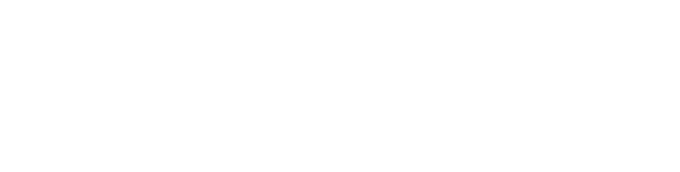 Comarch ERP XL_480_white